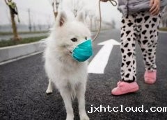 疫情下，如何保证宠物的安全？
