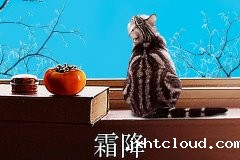 frost falls 丨 even though the frost is exhausted, the heart is as beautiful as ever
