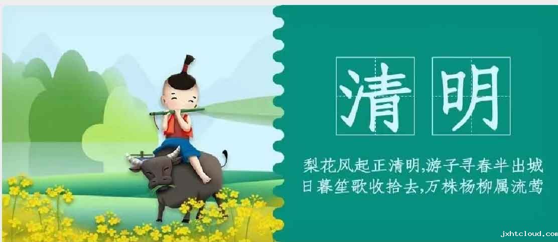 华兴宠物