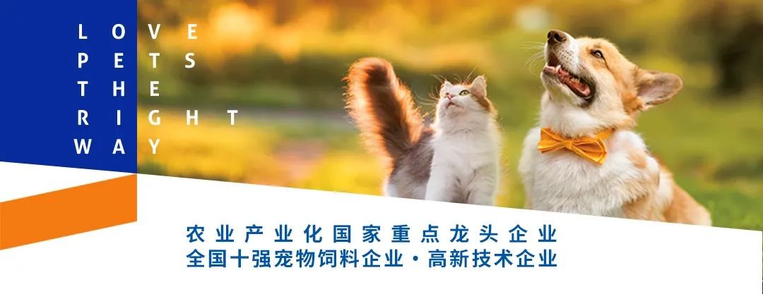 华兴宠物