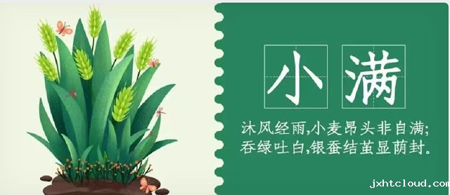 华兴宠物