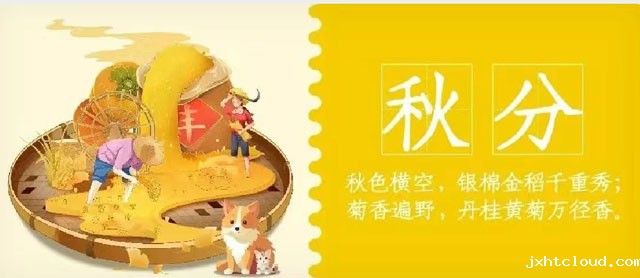 华兴宠物