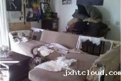 如何阻止狗狗乱咬家具？