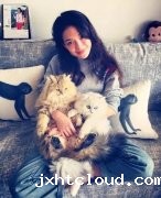 全世界最贵的猫都在这了！大多数人一辈子都没