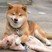 相信你也害怕遇到这几种人吧？