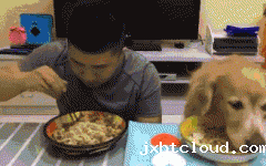 如果你家也有只吃货狗狗，这点一定要注意！