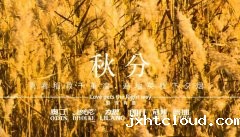 autumn equinox 丨 day and night painting, gradually into autumn
