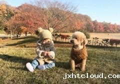 为什么有些孩子会出现想要＂养宠物＂的欲望