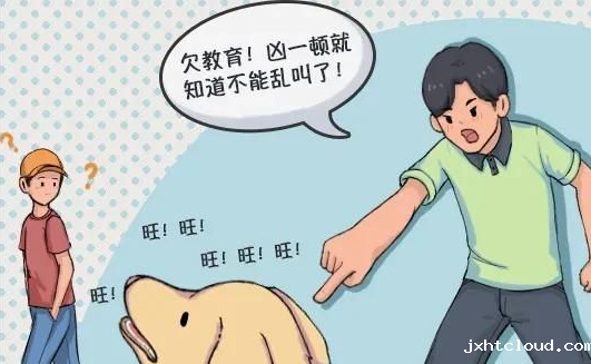 华兴宠物