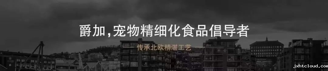 华兴宠物