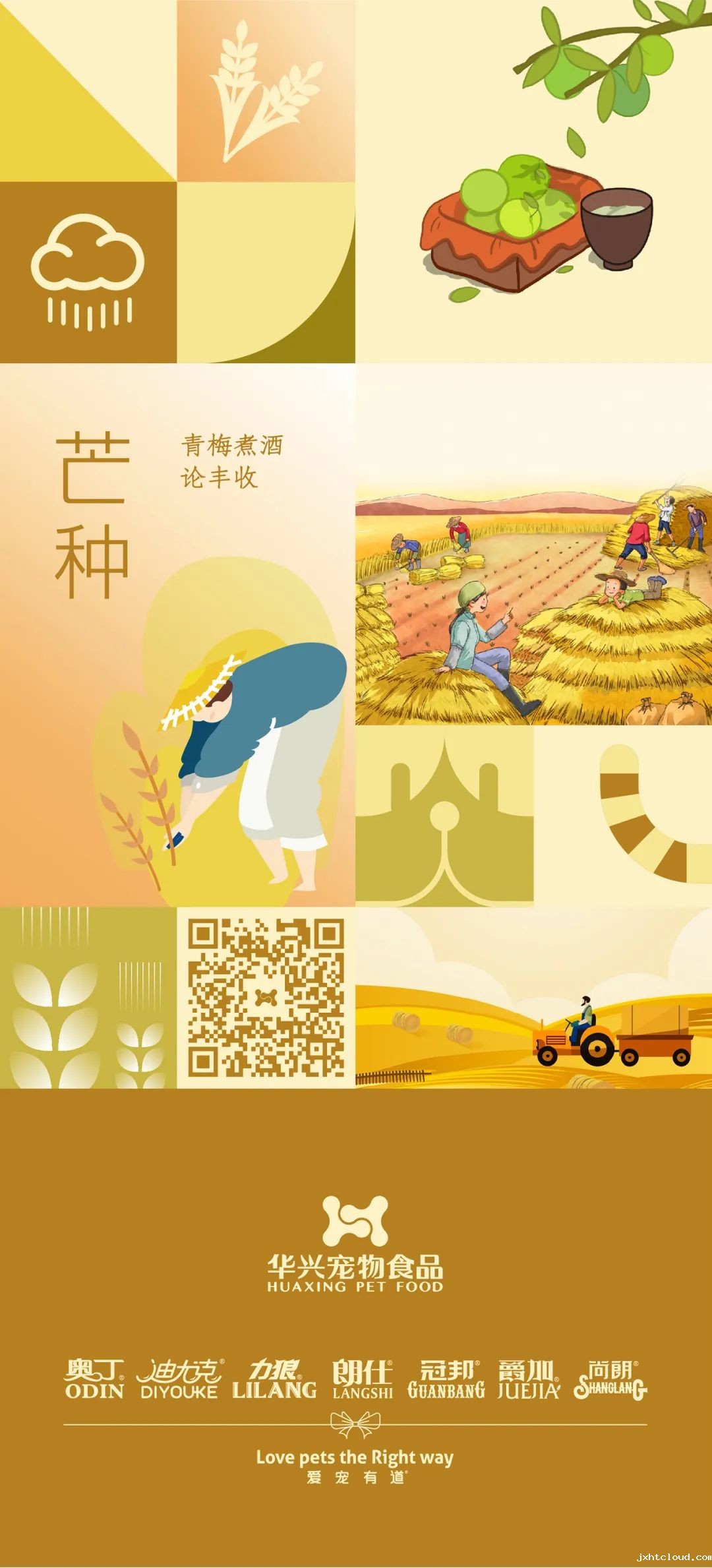 华兴宠物